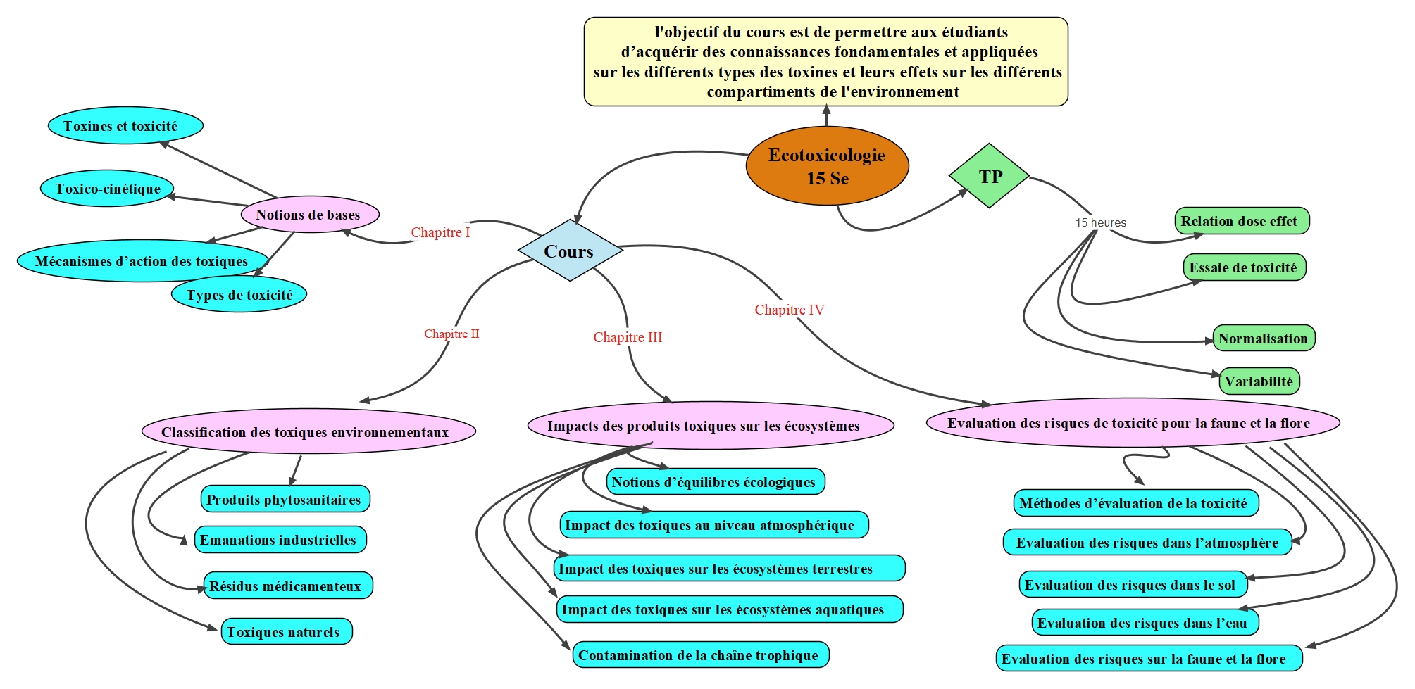 carte conceptuelle
